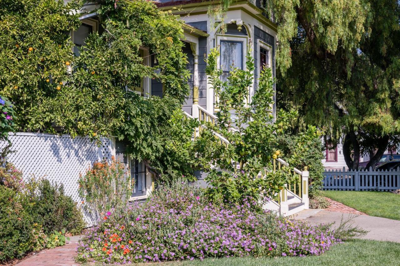 Madison Street Inn B&B Санта-Клара Екстер'єр фото